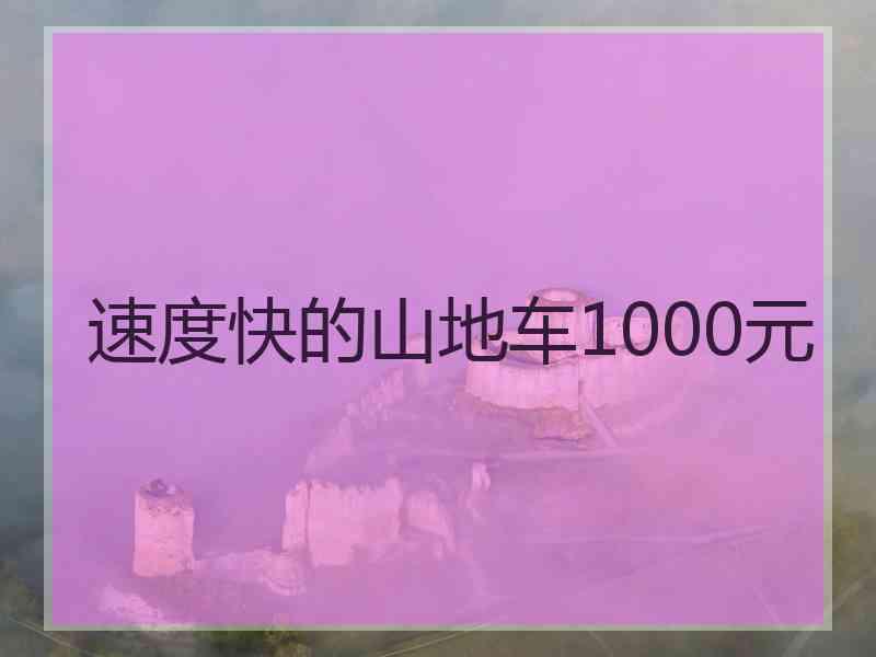 速度快的山地车1000元