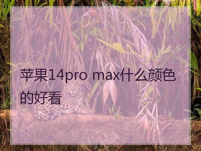 苹果14pro max什么颜色的好看