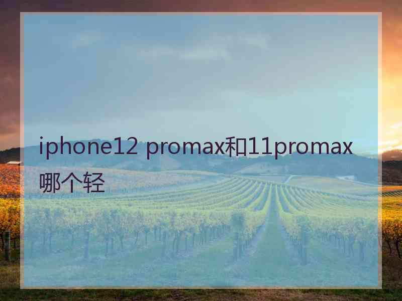 iphone12 promax和11promax哪个轻