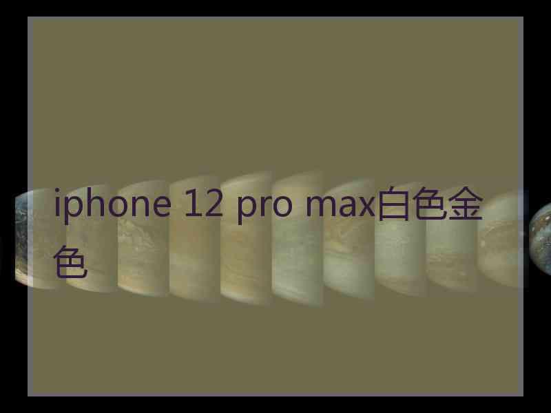 iphone 12 pro max白色金色