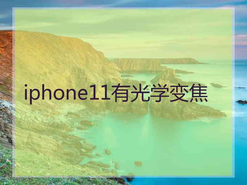 iphone11有光学变焦