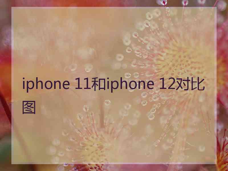 iphone 11和iphone 12对比图