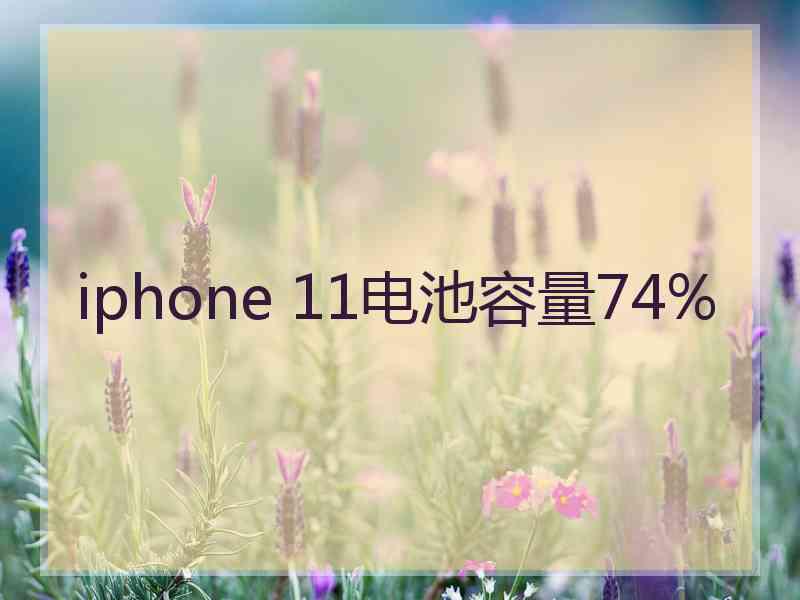 iphone 11电池容量74%