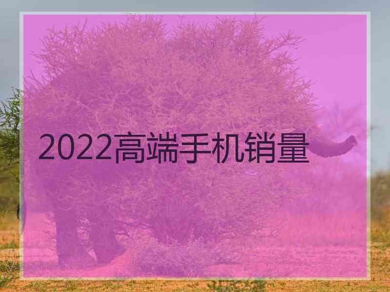 2022高端手机销量