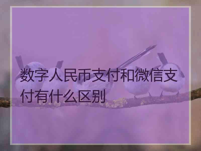 数字人民币支付和微信支付有什么区别