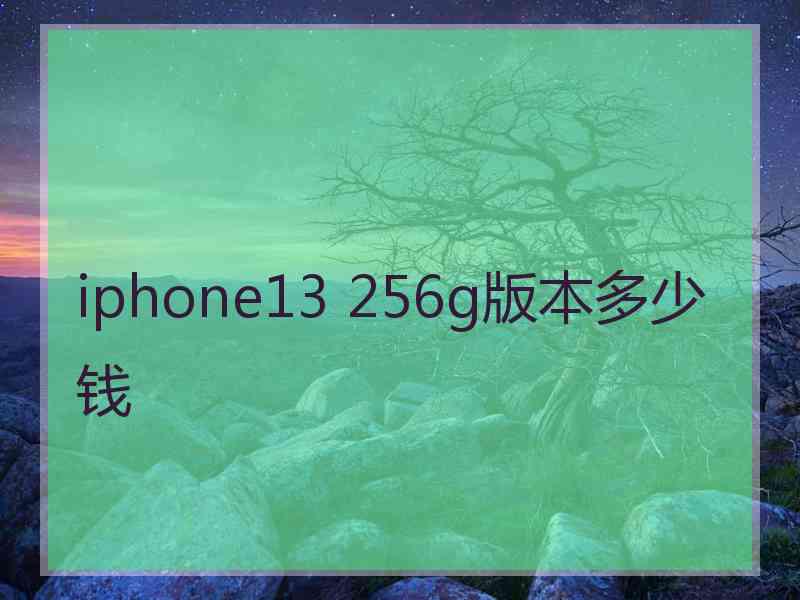 iphone13 256g版本多少钱