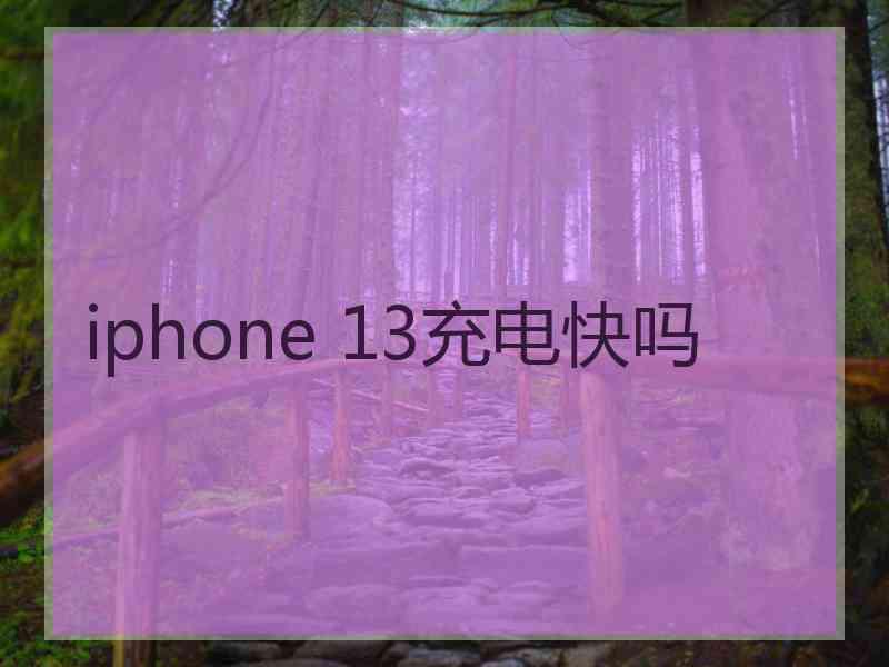 iphone 13充电快吗