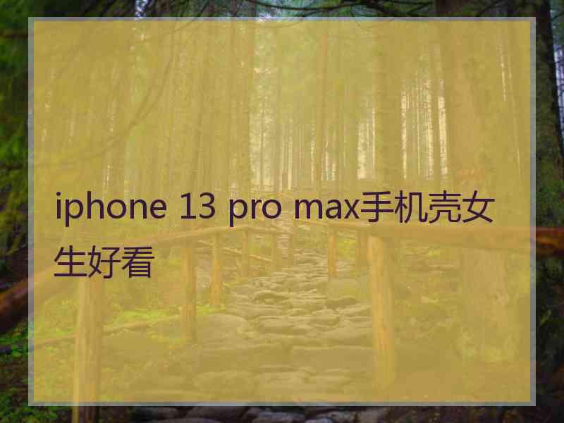 iphone 13 pro max手机壳女生好看