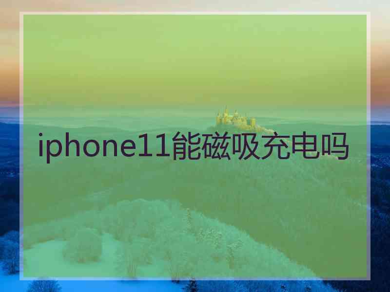 iphone11能磁吸充电吗