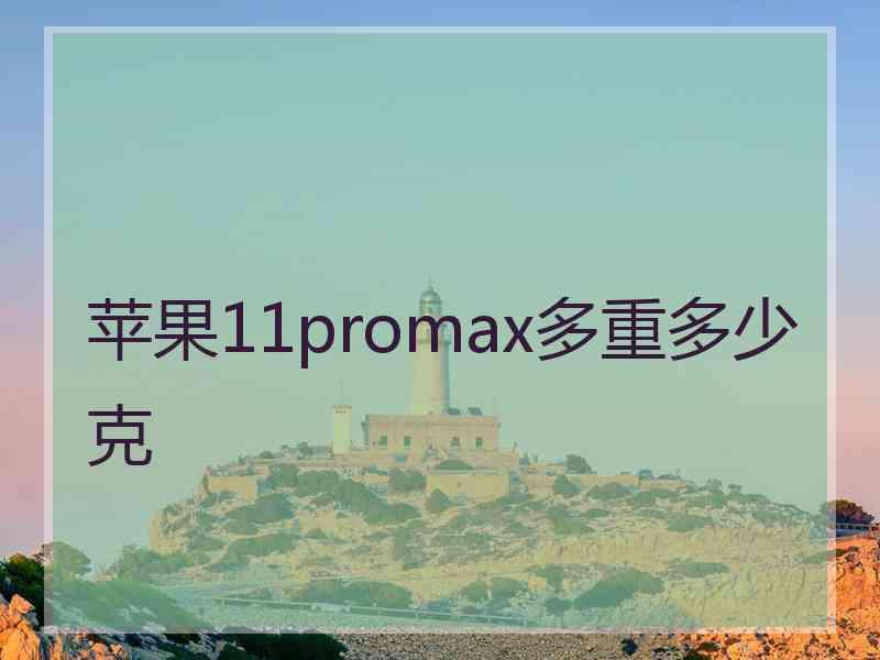 苹果11promax多重多少克