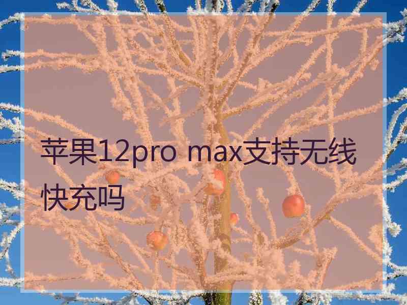 苹果12pro max支持无线快充吗