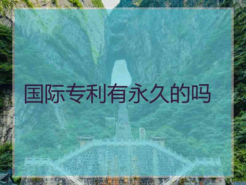 国际专利有永久的吗