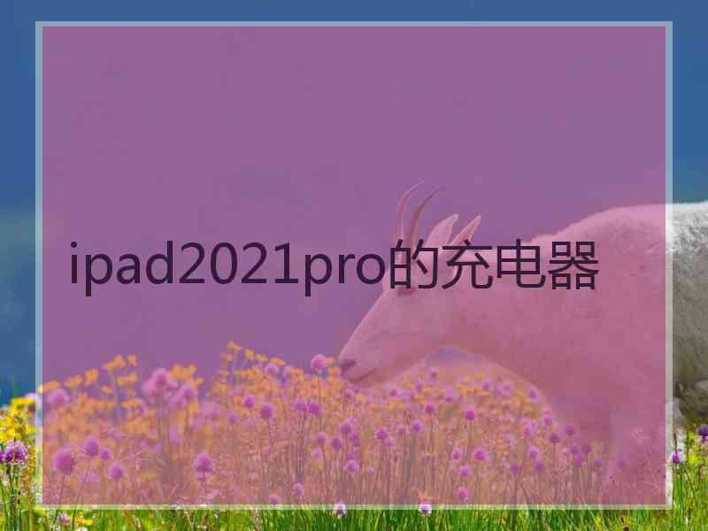 ipad2021pro的充电器