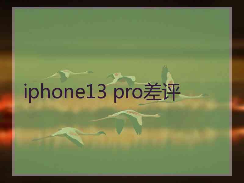 iphone13 pro差评