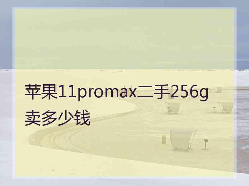 苹果11promax二手256g卖多少钱