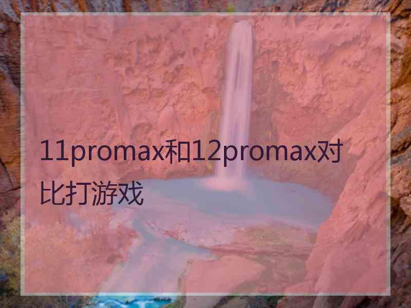 11promax和12promax对比打游戏