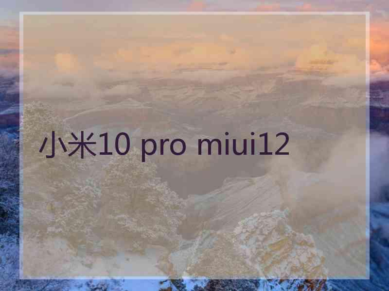 小米10 pro miui12