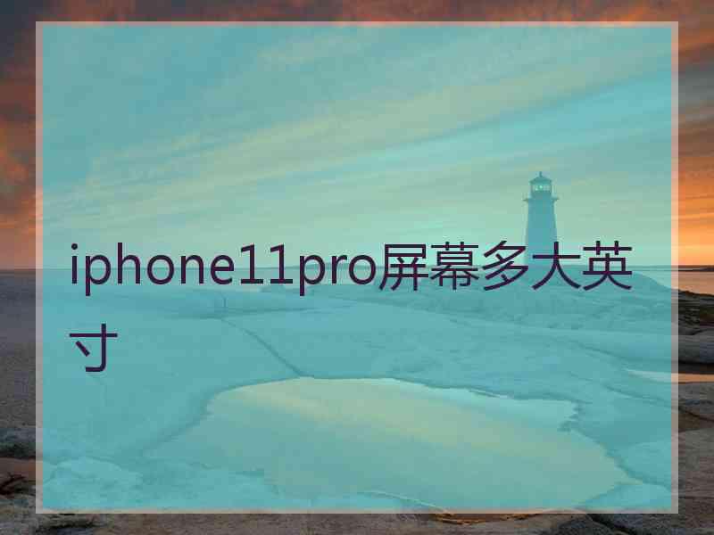 iphone11pro屏幕多大英寸