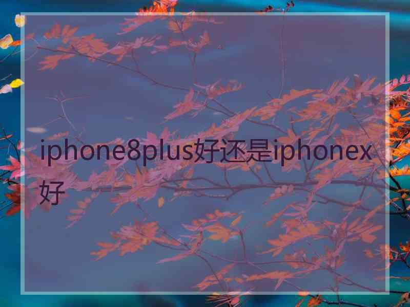 iphone8plus好还是iphonex好