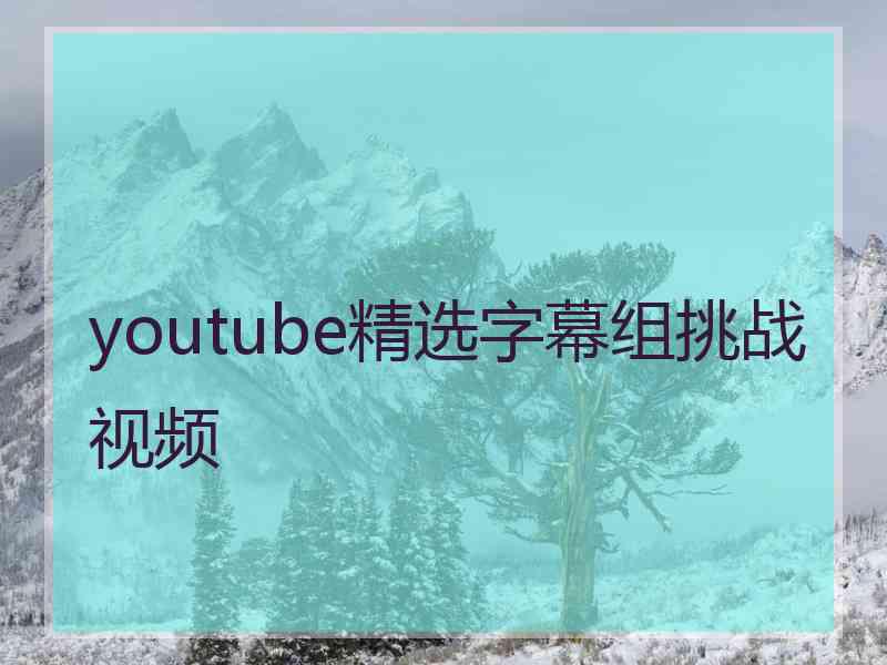 youtube精选字幕组挑战视频