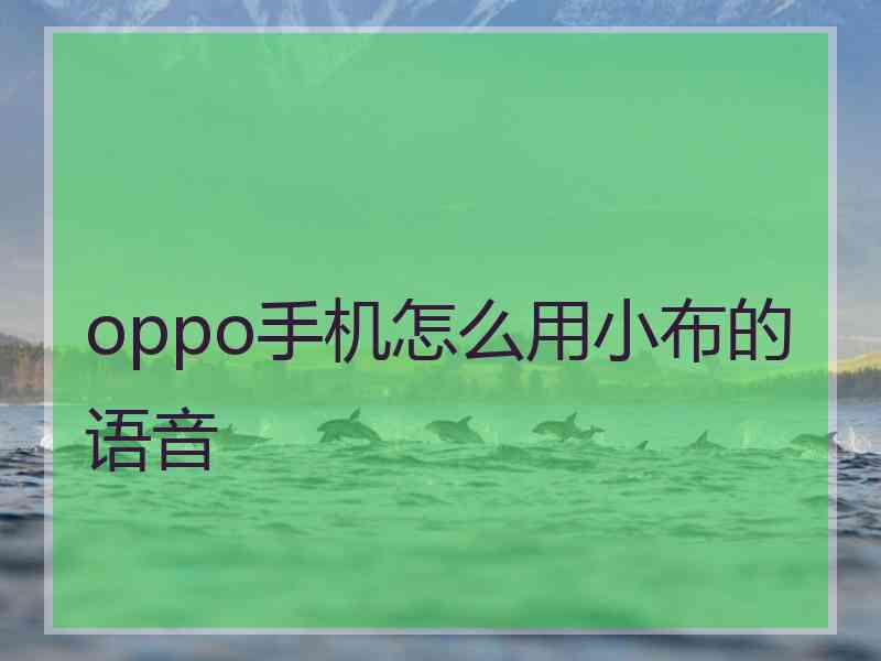 oppo手机怎么用小布的语音