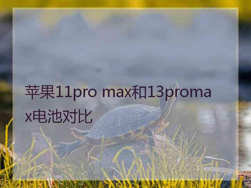 苹果11pro max和13promax电池对比