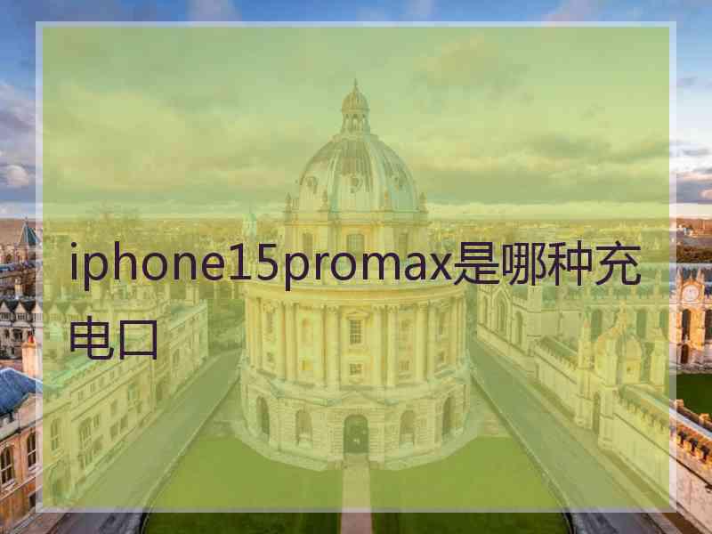 iphone15promax是哪种充电口