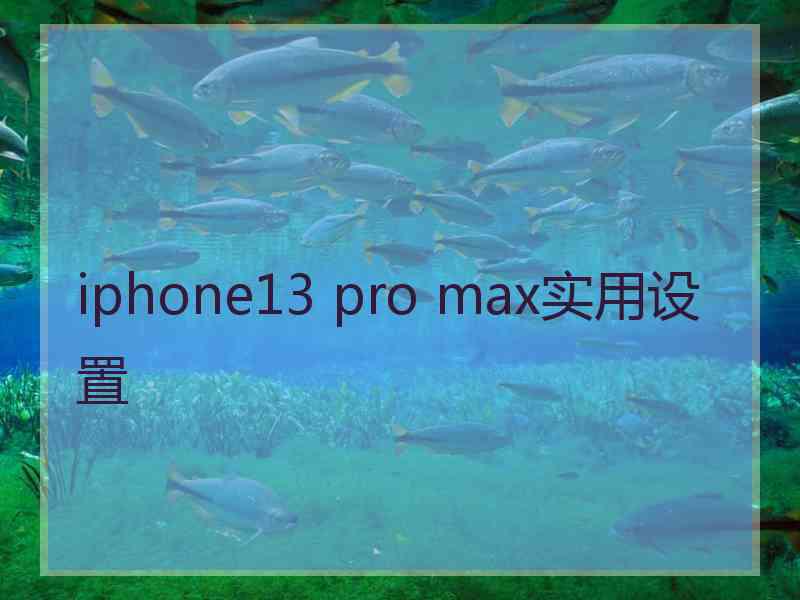 iphone13 pro max实用设置