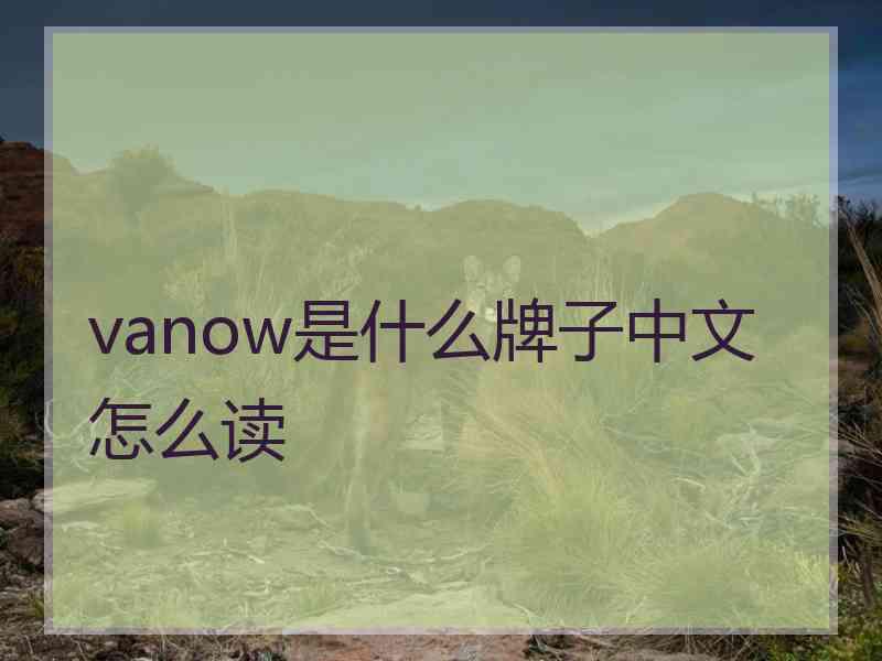 vanow是什么牌子中文怎么读