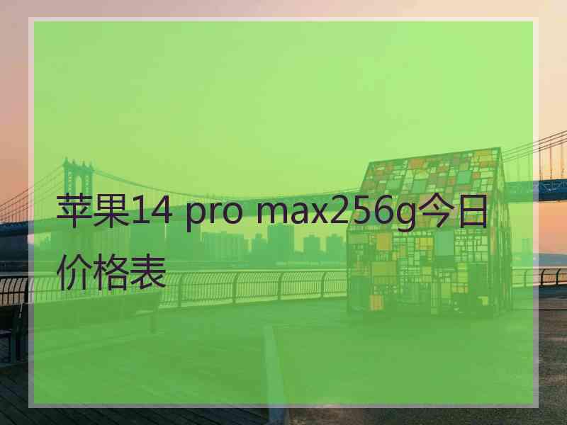 苹果14 pro max256g今日价格表