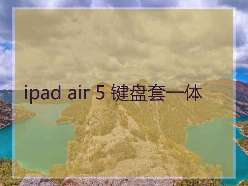 ipad air 5 键盘套一体