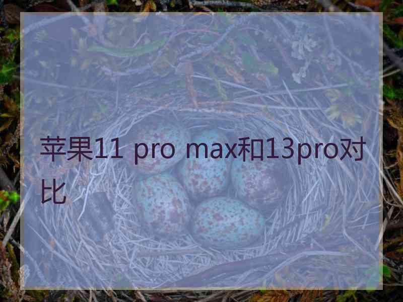 苹果11 pro max和13pro对比