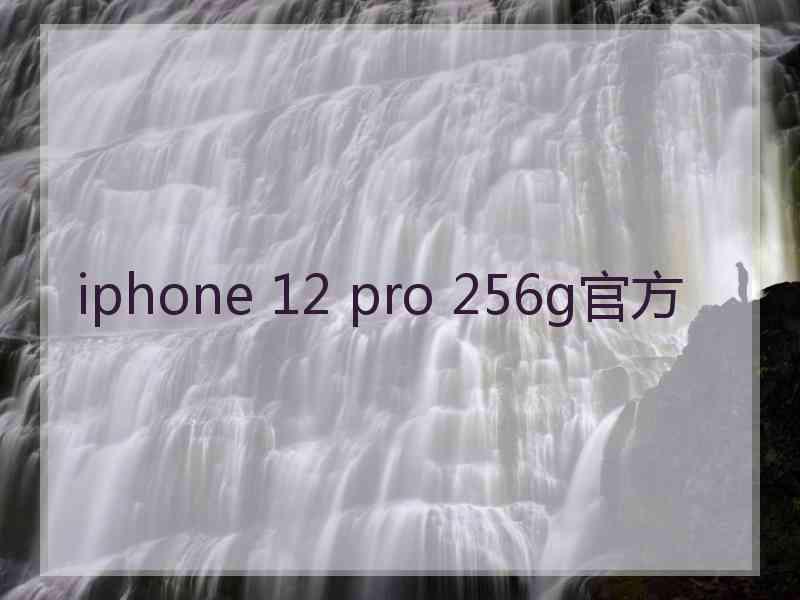 iphone 12 pro 256g官方