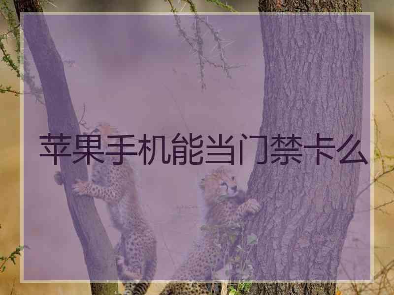 苹果手机能当门禁卡么