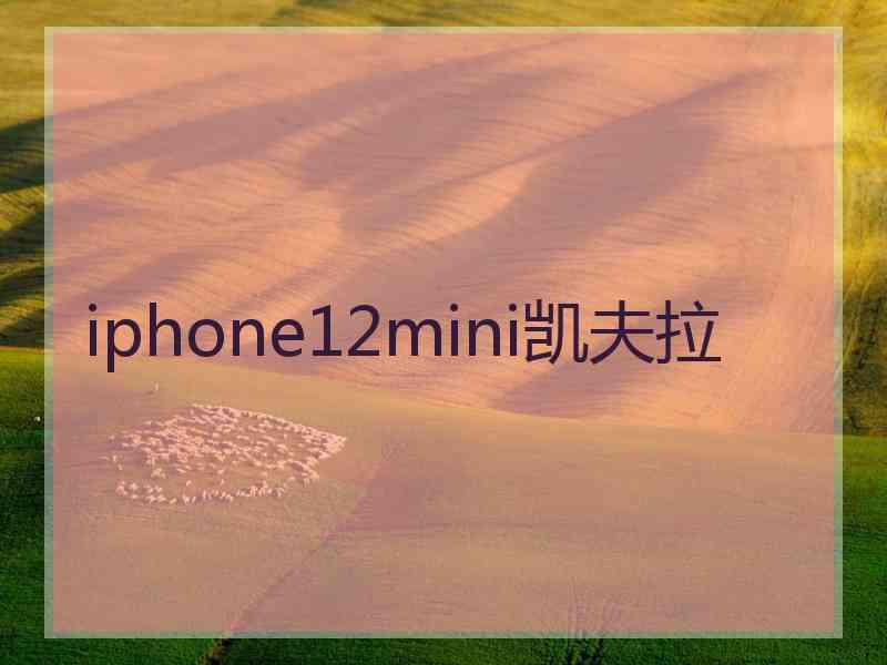 iphone12mini凯夫拉