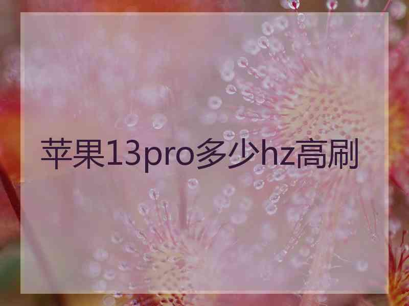 苹果13pro多少hz高刷