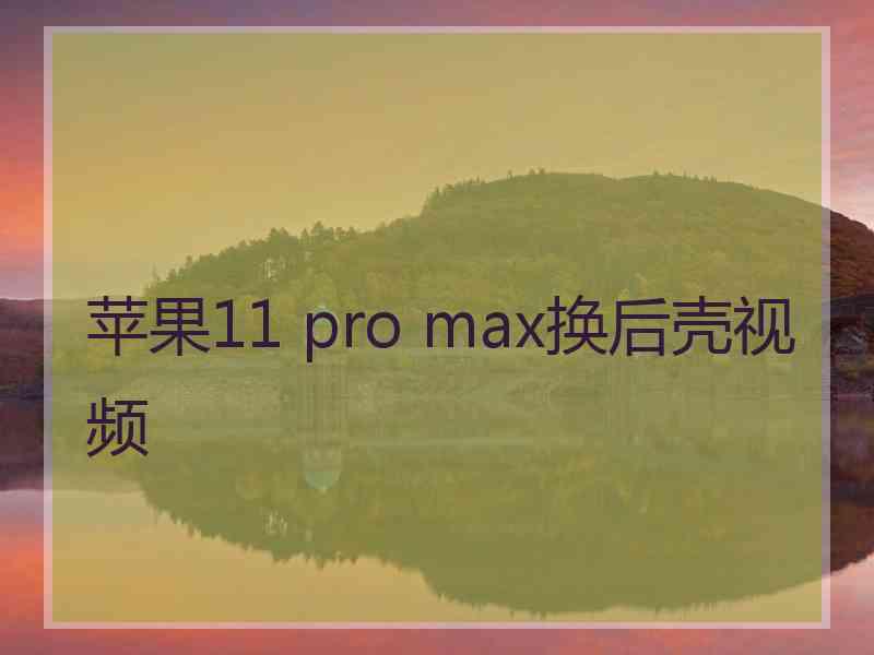 苹果11 pro max换后壳视频