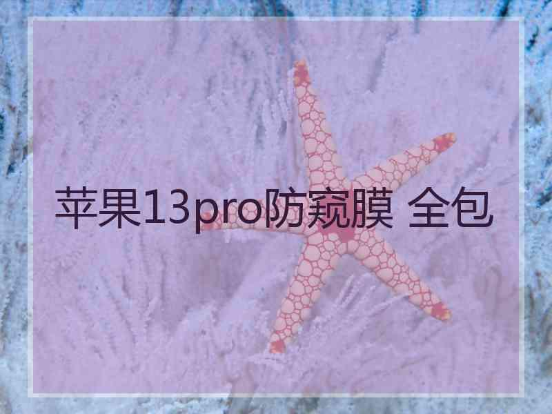 苹果13pro防窥膜 全包