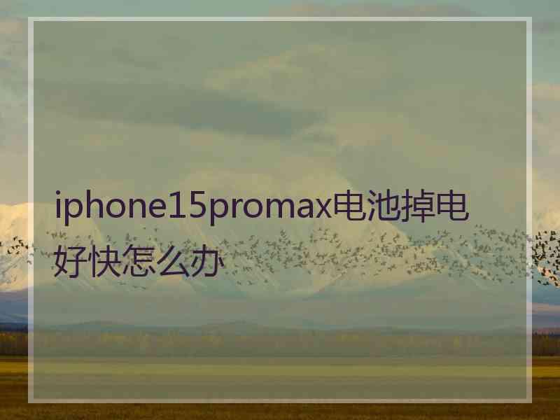 iphone15promax电池掉电好快怎么办