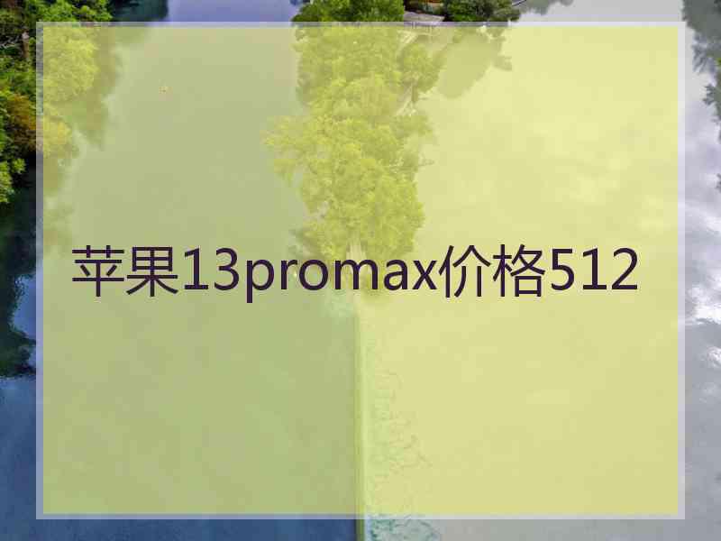 苹果13promax价格512