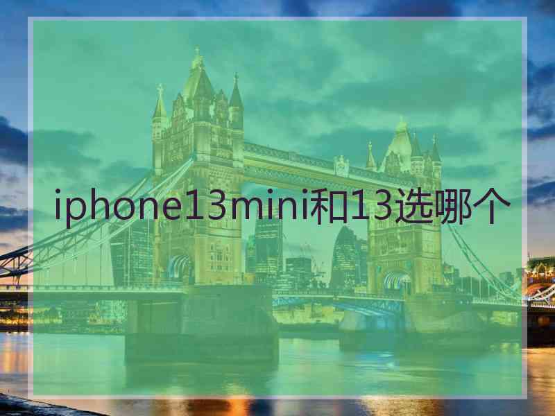 iphone13mini和13选哪个