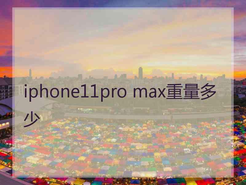 iphone11pro max重量多少