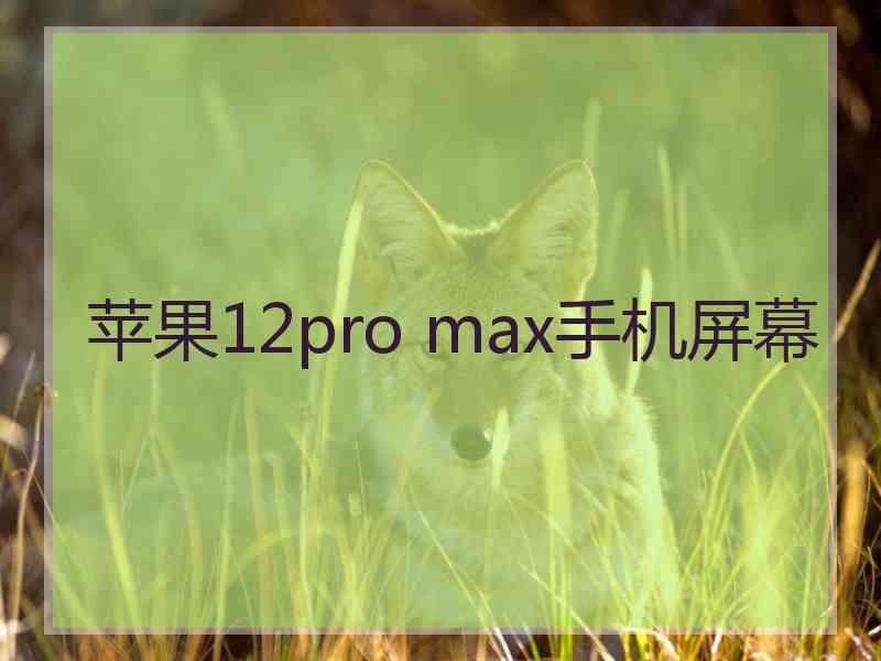 苹果12pro max手机屏幕