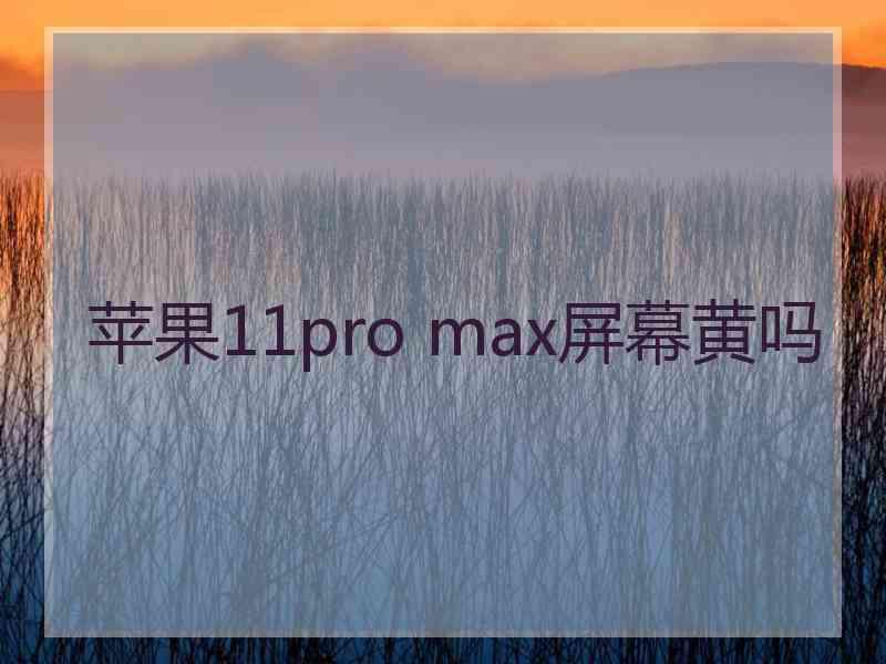 苹果11pro max屏幕黄吗