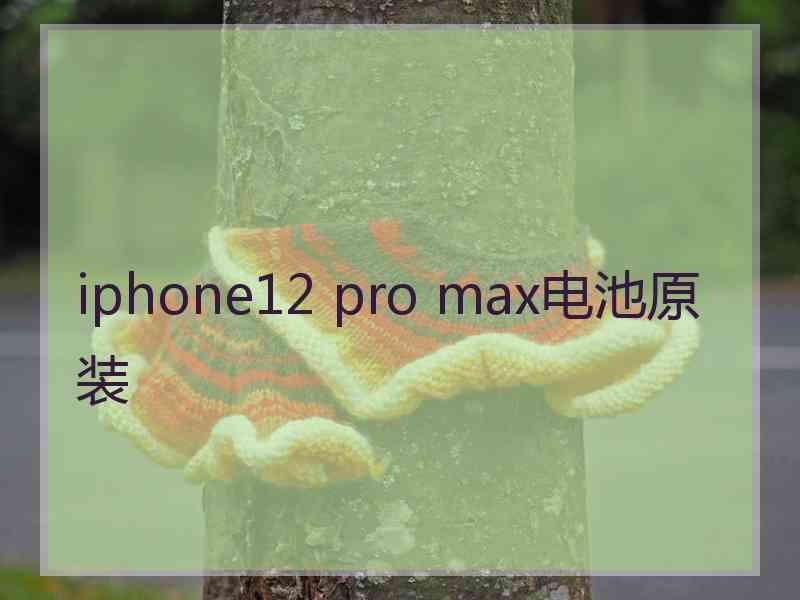 iphone12 pro max电池原装