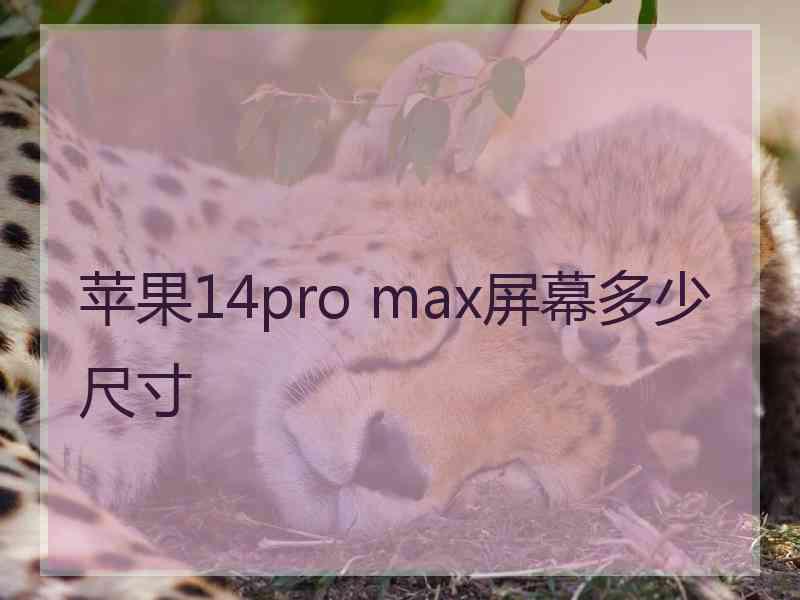 苹果14pro max屏幕多少尺寸