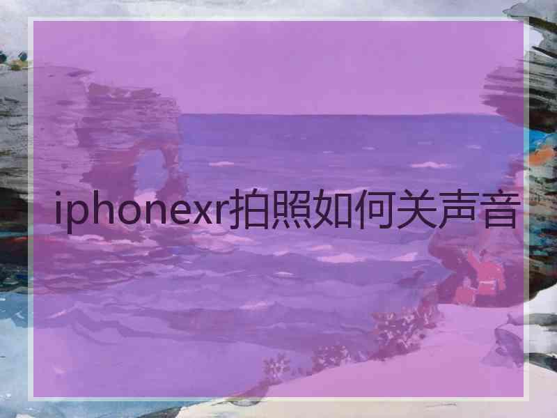 iphonexr拍照如何关声音