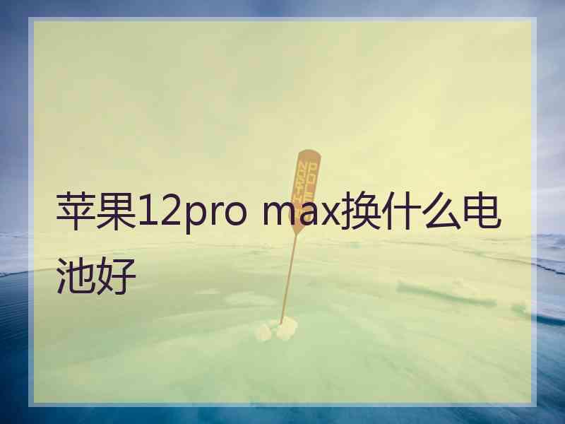 苹果12pro max换什么电池好