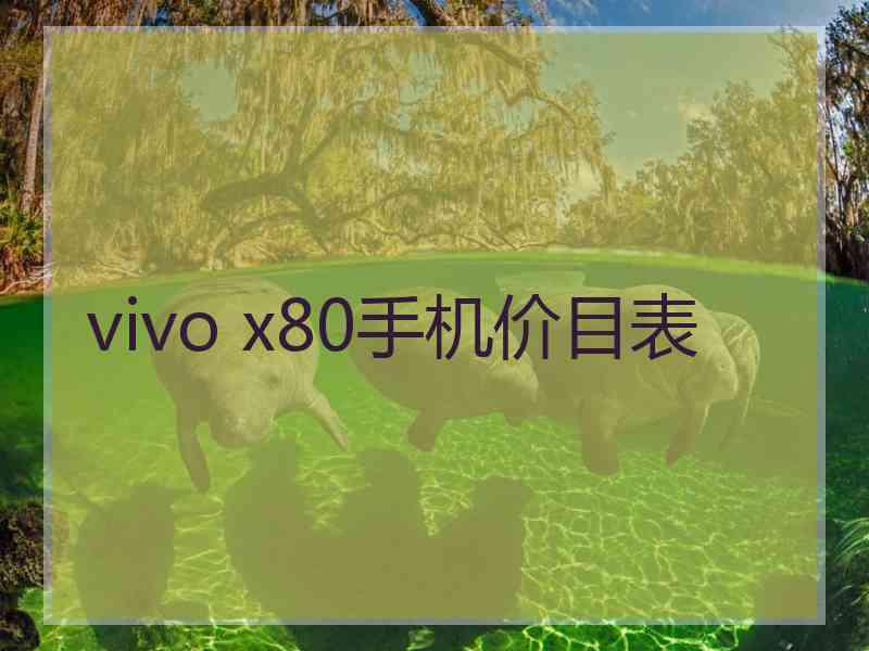 vivo x80手机价目表