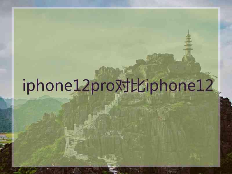 iphone12pro对比iphone12